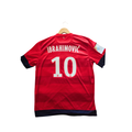 2012/13 - PSG Away - Ibrahimović (L)